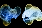 Strange Attractor